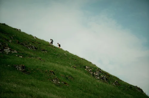 Posicionamiento y consultoría SEO